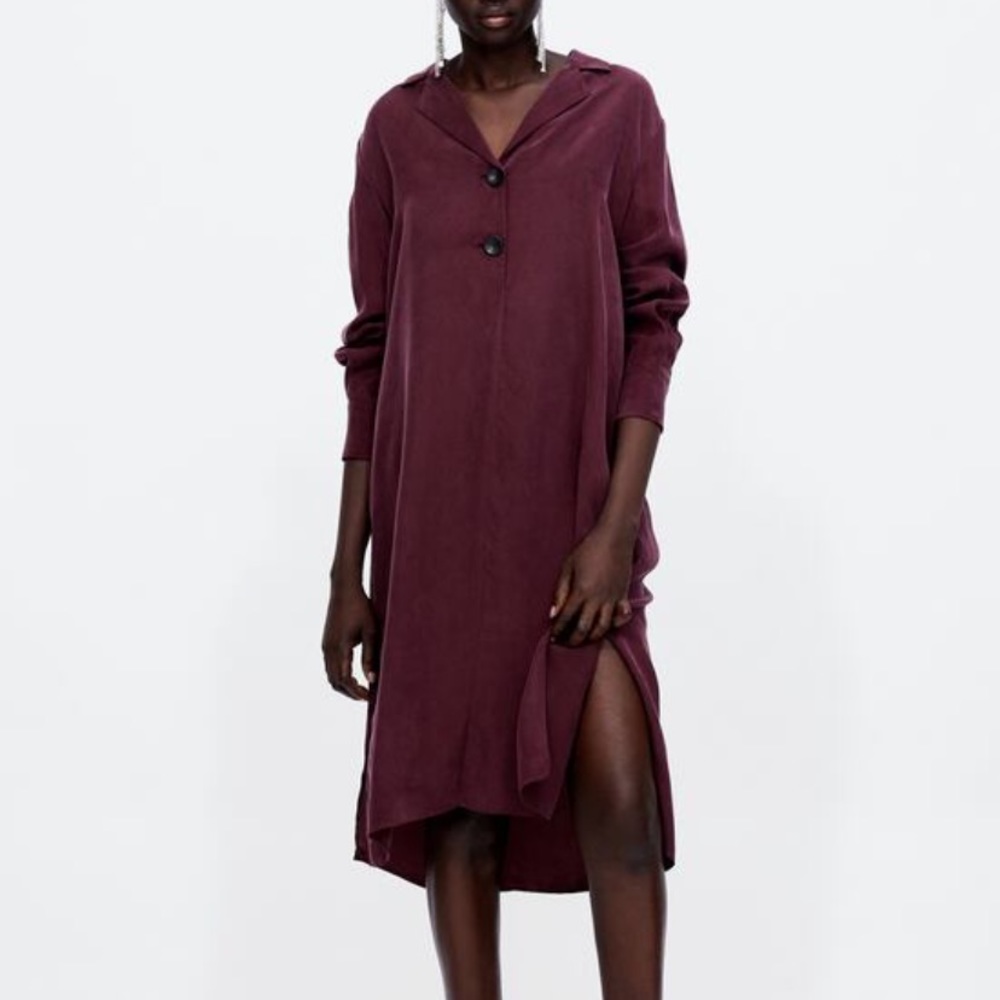 ZARA dress